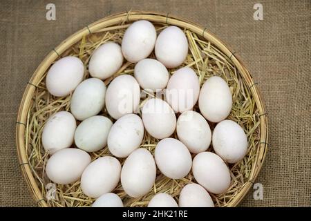 Rohe Bio-Whhite-Eier im Weidenkorb Stockfoto