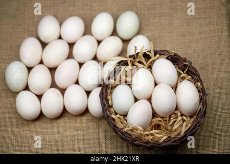 Rohe Bio-Whhite-Eier im Weidenkorb Stockfoto