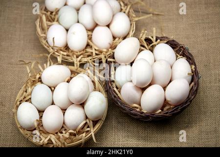 Rohe Bio-Whhite-Eier im Weidenkorb Stockfoto