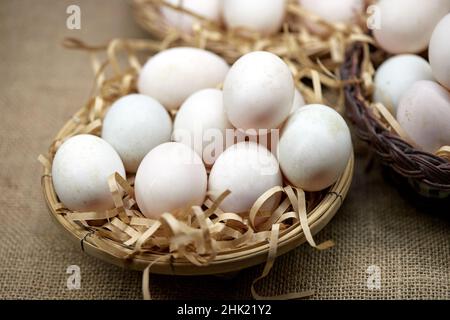 Rohe Bio-Whhite-Eier im Weidenkorb Stockfoto