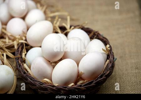 Rohe Bio-Whhite-Eier im Weidenkorb Stockfoto