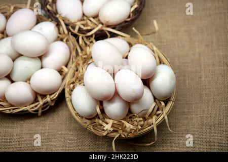 Rohe Bio-Whhite-Eier im Weidenkorb Stockfoto