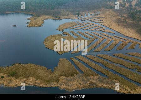 Limburg. 28th Januar 2022. Luftaufnahme vom 28. Januar 2022 zeigt die Feuchtgebiete des Grenzparks Kalmthoutse Heide in der belgischen Provinz Antwerpen. Der Welttag der Feuchtgebiete, der jährlich am 2. Februar gefeiert wird, soll das Bewusstsein für die wichtige Rolle von Feuchtgebieten weltweit schärfen. Quelle: Zhang Cheng/Xinhua/Alamy Live News Stockfoto