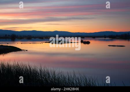 Sonnenuntergang im Marsh Pond, Grey Lodge Wildlife Area, Kalifornien Stockfoto