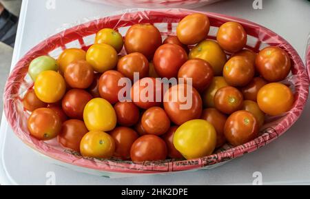 Korb voller Kirschtomaten, die im Sommer auf einem Bauernmarkt verkauft werden. Stockfoto