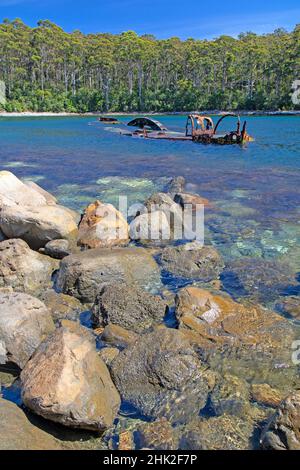 Das Wrack des William Pitt in Canoe Bay, Tasman National Park Stockfoto