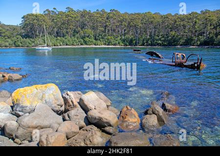 Das Wrack des William Pitt in Canoe Bay, Tasman National Park Stockfoto