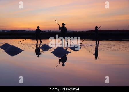 Vietnam. DOC Lassen Sie Salzsee. Arbeiter ernten das Salz. Sonnenaufgang am frühen Morgen. Stockfoto