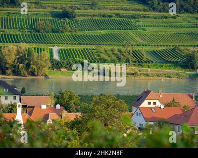 Blick über das historische Dorf Spitz auf die Weinberge bei Hofarnsdorf, gelegen im Weinanbaugebiet, UNESCO-Weltkulturerbe. Niederösterreich Stockfoto