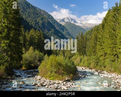 Fluss Sarca. Val di Genova im Parco Naturale Adamello, Brenta, Trentino, Italien, Val Rendena Stockfoto
