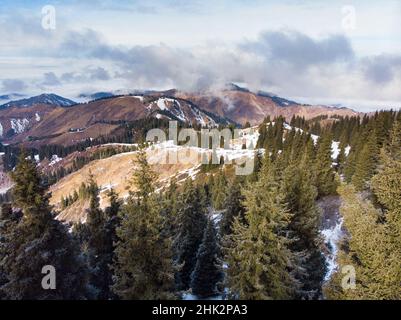 Winter in den Bergen. Die Berge bedecken die Wolken. Die Hänge sind mit Nadelbäumen bedeckt Stockfoto
