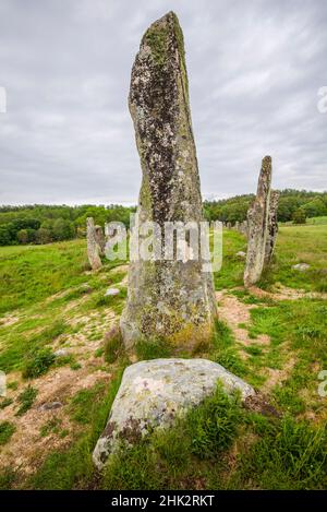 Schweden, Bohuslan, Blomsholm, Blomsholmsskeppet, Steinschiffskreis, Eisenzeit-Grabstätte, 400-600 n. Chr. Stockfoto