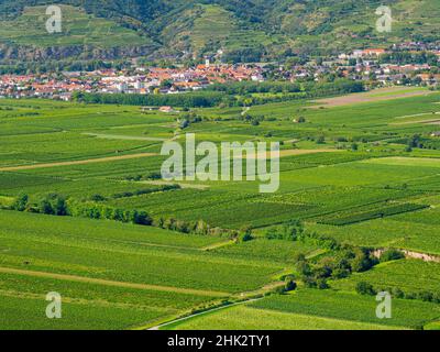 Blick auf die Donau vom Kloster Gottweig, UNESCO-Weltkulturerbe Wachau, Niederösterreich Stockfoto