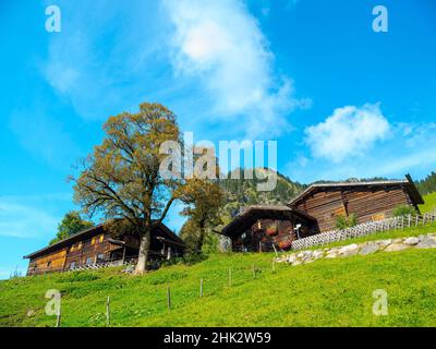 Die historische Alpensiedlung Gerstruben im Allgau bei Oberstdorf. Deutschland, Bayern Stockfoto