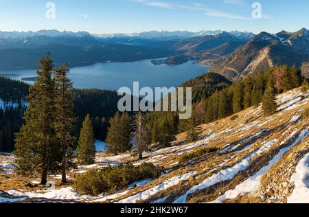 Blick vom Mt. Jochberg am Walchensee in Richtung Walchensee, Wettersteingebirge und Karwendelgebirge. Deutschland, Bayern Stockfoto