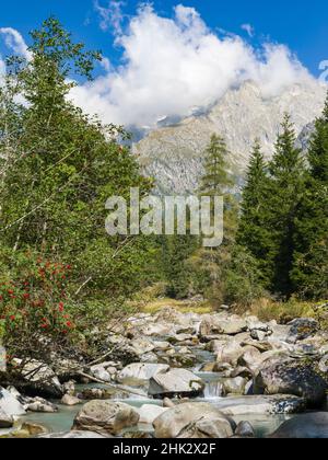 Fluss Sarca. Val di Genova im Parco Naturale Adamello, Brenta, Trentino, Italien, Val Rendena Stockfoto