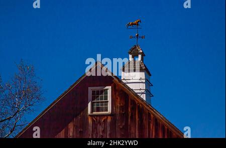 USA, New England, Vermont Wetterfahne auf Holzscheune mit Pferd gekrönt Stockfoto