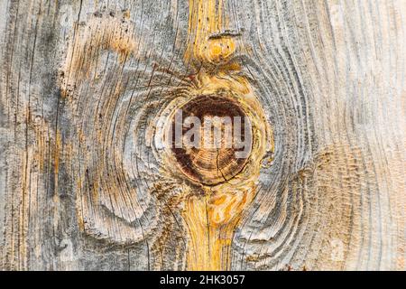 Latah, Staat Washington, USA. Knoten in verwittertem Holz auf einer alten Scheune. Stockfoto