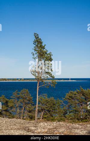 Schweden, Gotland Island, Bungenas, ehemalige Kreidemine und Militärstützpunkt, jetzt eine exklusive Ferienentwicklung und Naturreservat, Landschaft Stockfoto