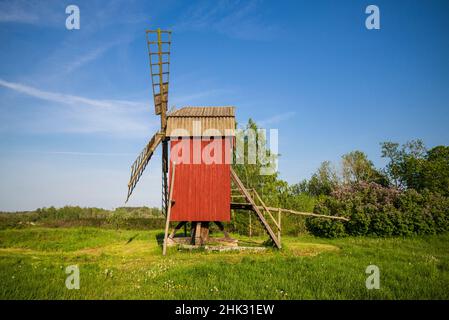 Schweden, Insel Oland, Storlinge, antike Holzwindmühlen Stockfoto