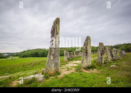 Schweden, Bohuslan, Blomsholm, Blomsholmsskeppet, Steinschiffskreis, Eisenzeit-Grabstätte, 400-600 n. Chr. Stockfoto