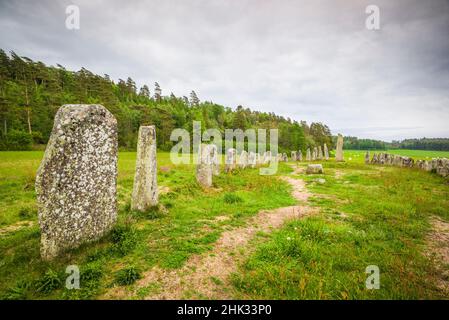 Schweden, Bohuslan, Blomsholm, Blomsholmsskeppet, Steinschiffskreis, Eisenzeit-Grabstätte, 400-600 n. Chr. Stockfoto