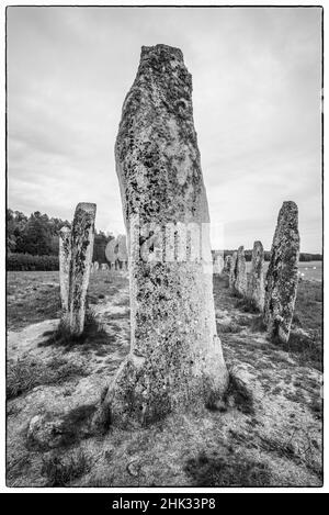 Schweden, Bohuslan, Blomsholm, Blomsholmsskeppet, Steinschiffskreis, Eisenzeit-Grabstätte, 400-600 n. Chr. Stockfoto