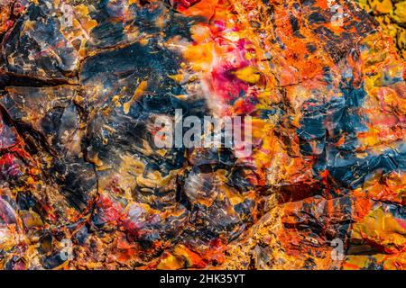 Rotes, gelbes, orangefarbenes versteinertes Holz, Besucherzentrum, Petrified Forest National Park, Arizona Stockfoto