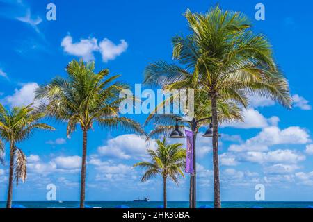 Fort Lauderdale Beach, Florida Stockfoto