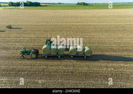 Verladung von runden Heuballen auf Wagen, Marion County, Illinois Stockfoto