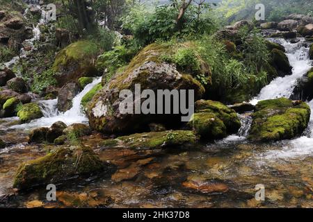 Wasserfall fließt durch moosige Felsen Stockfoto