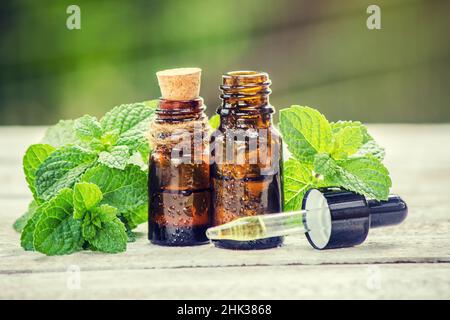 Heilkräuter. Selektiver Fokus. Medizin und Gesundheit. Stockfoto