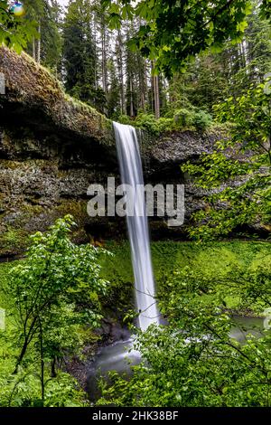 USA, Oregon, Silver Falls State Park, South Falls Stockfoto