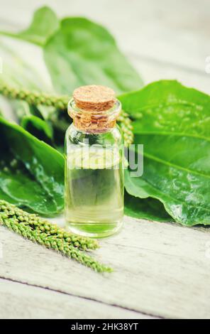 Auszug aus Kochbananen in einem kleinen Glas. Selektiver Fokus. Stockfoto