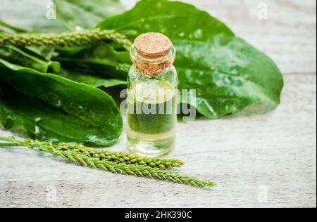 Auszug aus Kochbananen in einem kleinen Glas. Selektiver Fokus. Stockfoto