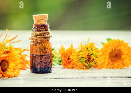 Der Ringelblume Extrakt. Heilpflanzen. Selektiver Fokus. Stockfoto