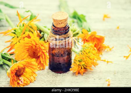 Der Ringelblume Extrakt. Heilpflanzen. Selektiver Fokus. Stockfoto