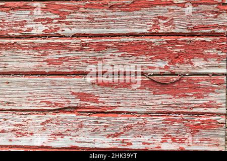 Latah, Staat Washington, USA. Abblätternde rote Farbe auf einer verwitterten alten Scheune. Stockfoto