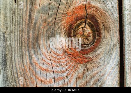 Latah, Staat Washington, USA. Knoten in verwittertem Holz auf einer alten Scheune. Stockfoto