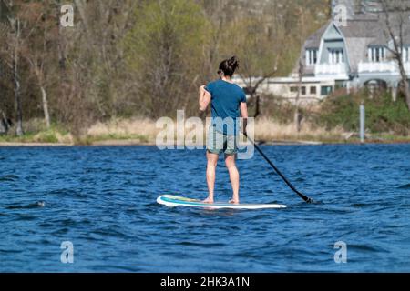 Issaquah, Staat Washington, USA. Frau, die auf dem Paddleboard steht. (Nur Für Redaktionelle Zwecke) Stockfoto