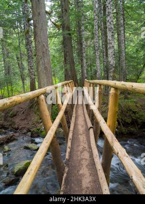 Washington State, Central Cascades, Fußgängerbrücke über Talapus Creek Stockfoto