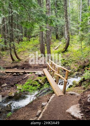 Washington State, Central Cascades, Fußgängerbrücke über Talapus Creek Stockfoto