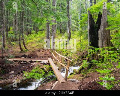 Washington State, Central Cascades, Fußgängerbrücke über Talapus Creek Stockfoto