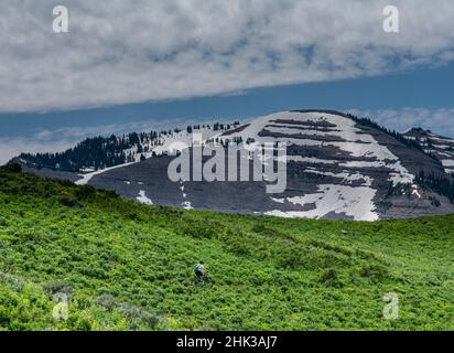 USA, Wyoming. Mann Mountainbiken in Singletrack, entfernten schneebedeckten Berg Stockfoto