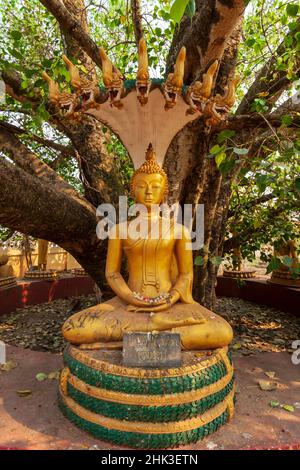 Buddhistische Statuen um Pha, die Luang, (große Stupa in Lao) ist eine buddhistische Stupa, Vientiane, der Hauptstadt von Laos, Südostasien Stockfoto