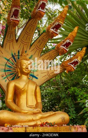 Buddhistische Statuen um Pha, die Luang, (große Stupa in Lao) ist eine buddhistische Stupa, Vientiane, der Hauptstadt von Laos, Südostasien Stockfoto