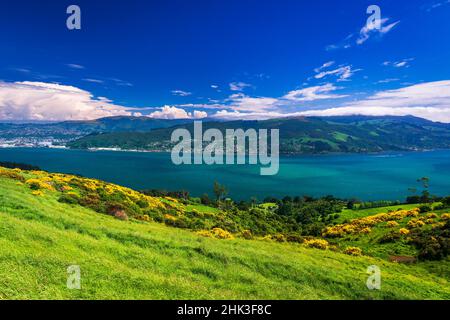 Otago Harbour von der Otago Peninsula, Dunedin, Otago, Südinsel, Neuseeland Stockfoto