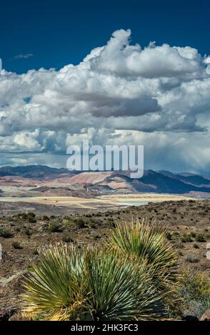 Aufragende Cumulus-Wolken, Regen über der Morenci-Kupfermine in einem weiten bereich von 12 m N, hinter den White Mountains, Wüstenlöffel, Blick von Black Hills, Arizona, USA Stockfoto