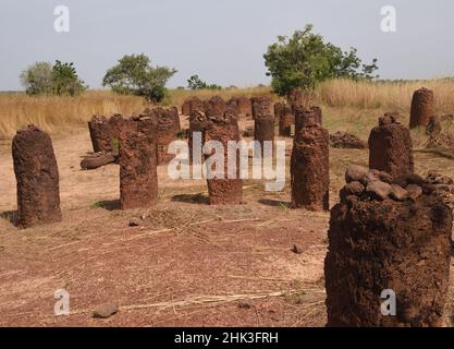 Die Steinkreise von Senegambia in Wassu gehören zum UNESCO-Weltkulturerbe. Es wird angenommen, dass die Steine von 300 v. Chr. bis 1600s datieren. Es ist wenig bekannt Stockfoto