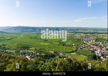 Blick vom Kloster Gottweig auf die Donau und Krems an der Donau. Die Abtei Gottweig ist UNESCO-Weltkulturerbe Wachau, Niederösterreich Stockfoto